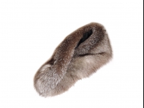 ブルーFOXショール