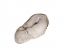 ブルーFOXショール