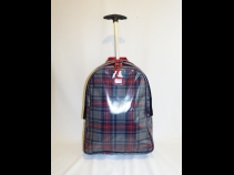 Ｄ＆Ｇ キャンパスキャリ－バッグ グリ－ン/レッド（新品同様）