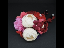 ちりめんつまみコ－ム・ミニ2点セット