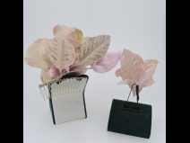 花ごころ56067　コーム＆Uピン２点セット