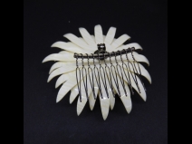 舞子かんざし菊(コーム）　乳白色