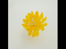 ミニフラワ－Uピン3点セット　　イエロ－