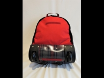 Ｄ＆Ｇ　キャンパスキャリ－バッグ　グリ－ン/レッド（新品同様）