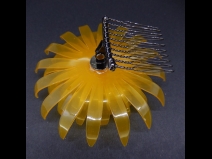 舞子かんざし菊(コーム）　卵甲色