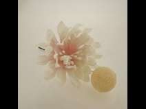 ミニフラワ－Uピン3点セット　　ベージュ