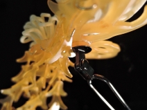 オリジナルかんざし