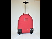 Ｄ＆Ｇ　キャンパスレッドキャリ－バッグ（新品同様）