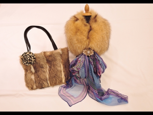 フォックス衿・ファーバック