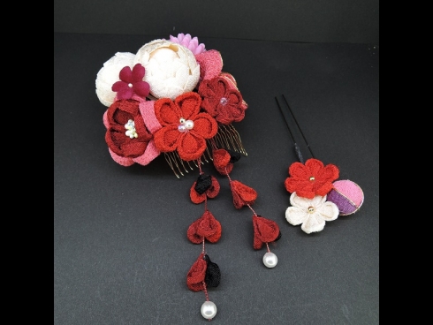 ちりめんつまみコ－ム・ミニ2点セット