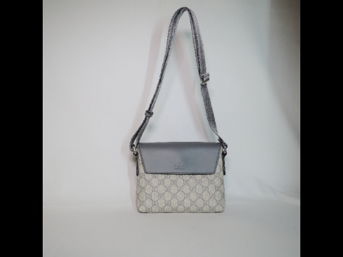 グッチ　GG プラス斜めショルダー      (USED)