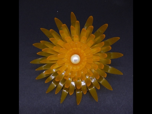 舞子かんざし菊(コーム）　卵甲色