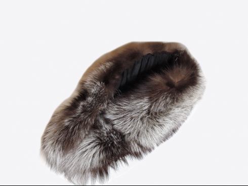 ブルーFOXショール