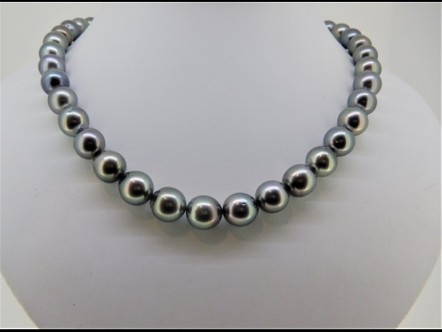 南洋黒蝶真珠ネックレス（11.3-8.6mm）