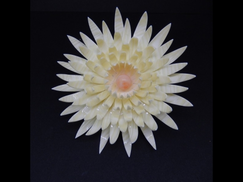 舞子かんざし菊(コーム）　乳白色