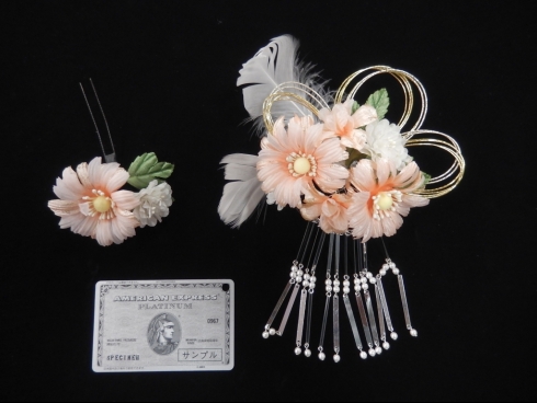 254411　コーム＆Uピン２点セット