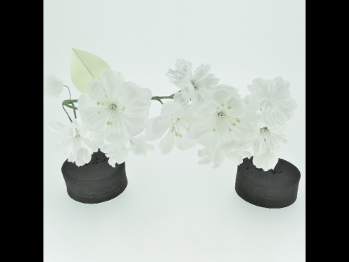 ミニフラワー桜(白)