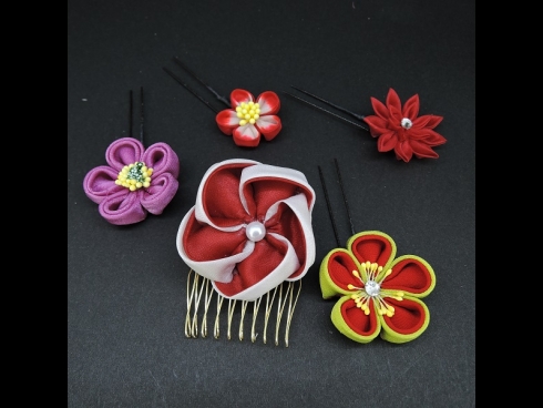 つまみミニコームミニピン5点セット　赤