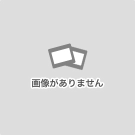 フェンディ　2WAYバッグ　スモ－ルフランカ型押し　赤（未使用品）